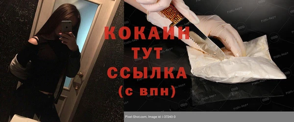 дживик Инта