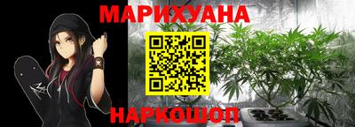 гашик Можайск