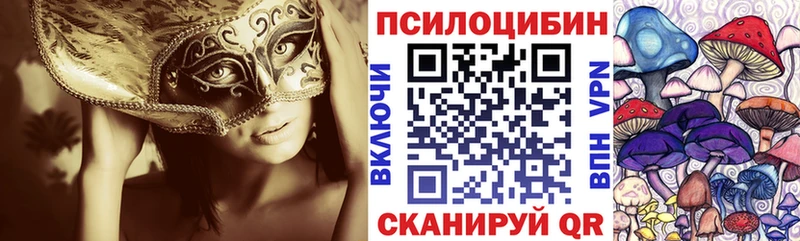 где можно купить наркотик  Северобайкальск  Галлюциногенные грибы Psilocybine cubensis 