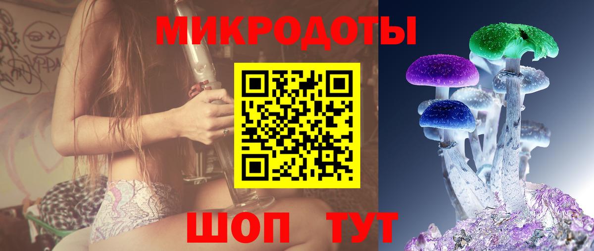 Галлюциногенные грибы Psilocybe  Вход с VPN  Северобайкальск 