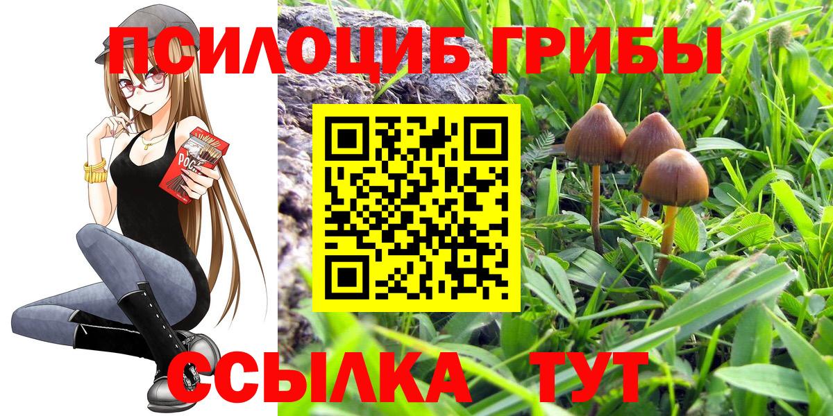 A PVP Северобайкальск