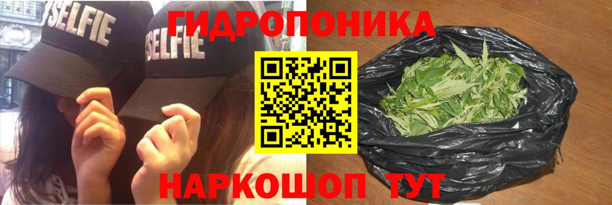 Бошки марихуана индика Северобайкальск
